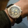 Rolex Cosmograph 116588TBR Daytona Eye of Tiger