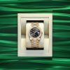 Rolex Day-Date 40, 18k Yellow Gold with Diamond-set, 40mm, Ref# 228398tbr-0041