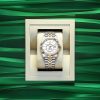 Rolex Sky-Dweller, 42mm, Oystersteel and 18k Yellow Gold, Ref# 336933-0006