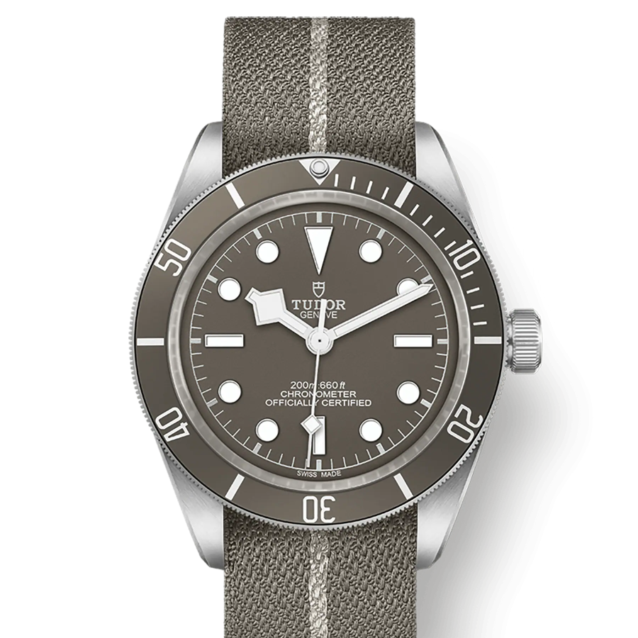 Tudor Black Bay Fifty-Eight 925, 39mm, 925 Silver, Ref# M79010SG-0002