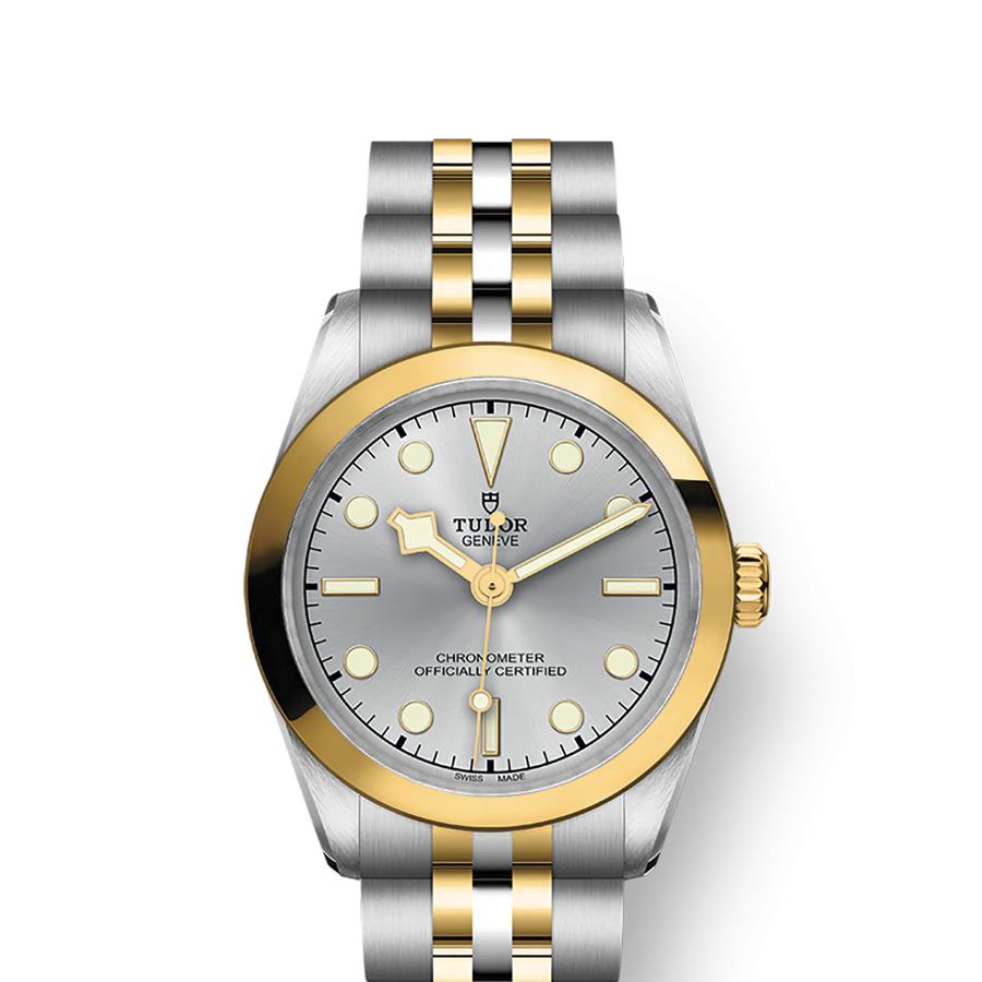 Tudor Black Bay 39 S&G, Stainless Steel and 18k Yellow Gold, Ref# M79663-0002