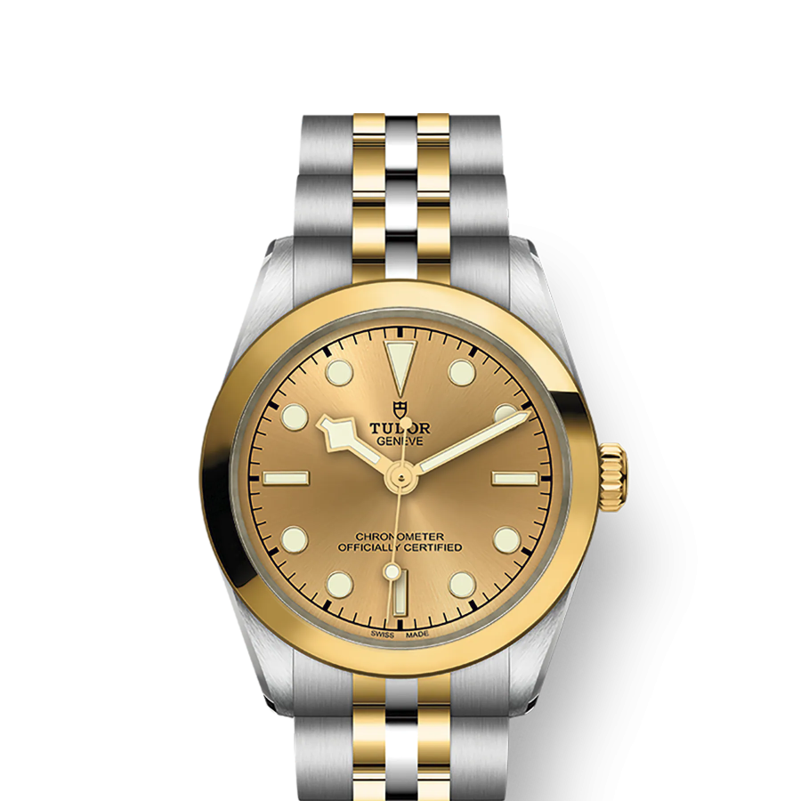 Tudor Black Bay 31 S&G, 316L Stainless Steel and 18k Yellow Gold, Ref# M79603-0005