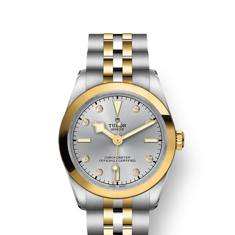 Tudor Black Bay 31 S&G, 316L Stainless Steel and 18k Yellow Gold, Ref# M79603-0007