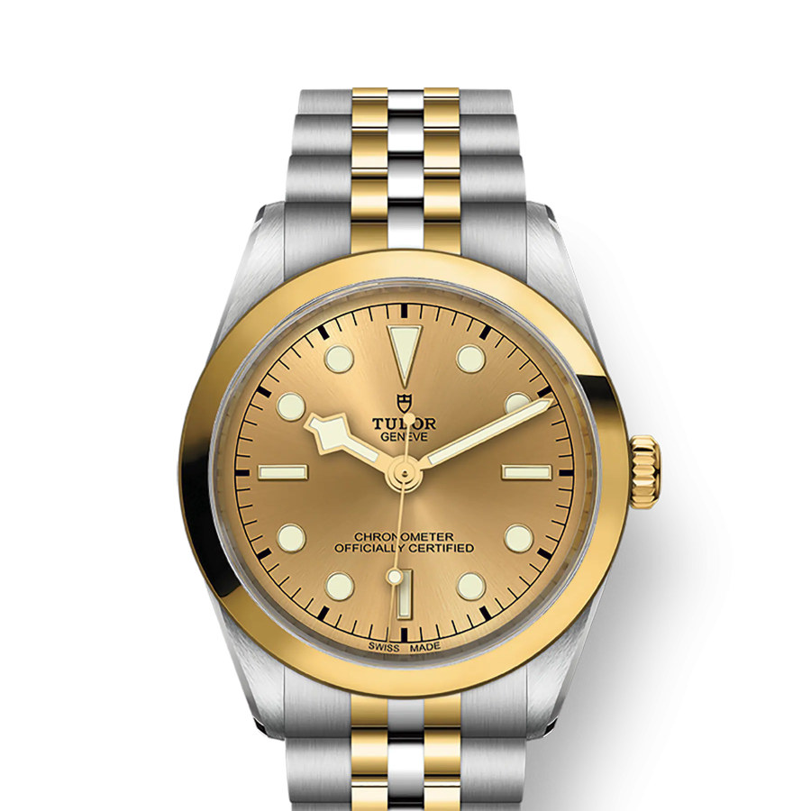 Tudor Black Bay 36 S&G, 316L Stainless Steel and 18k Yellow Gold, Ref# M79643-0005