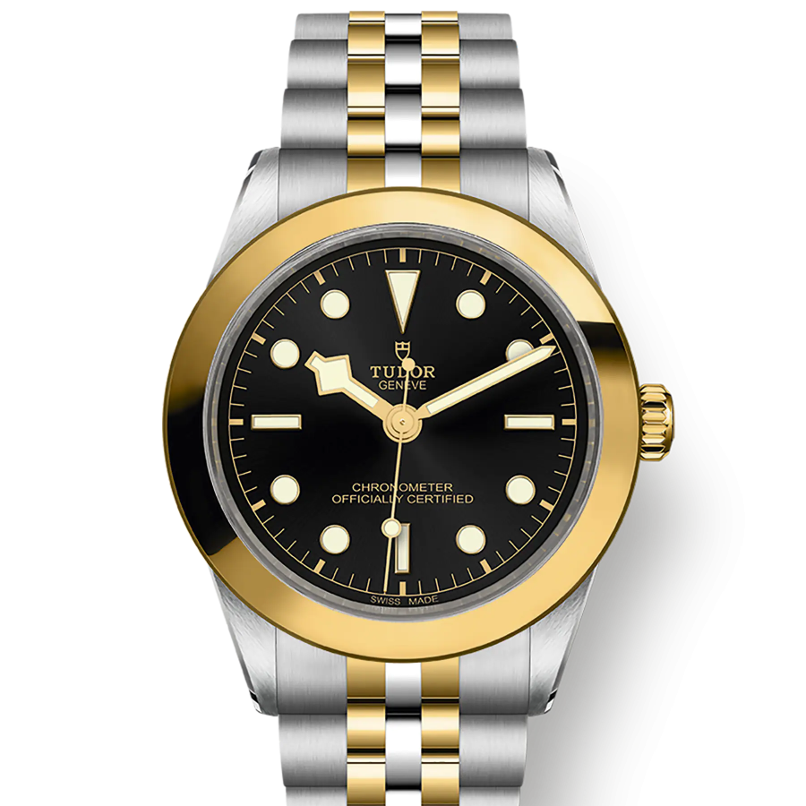 Tudor Black Bay 39 S&G, 316L Stainless Steel and 18k Yellow Gold, Ref# M79663-0001