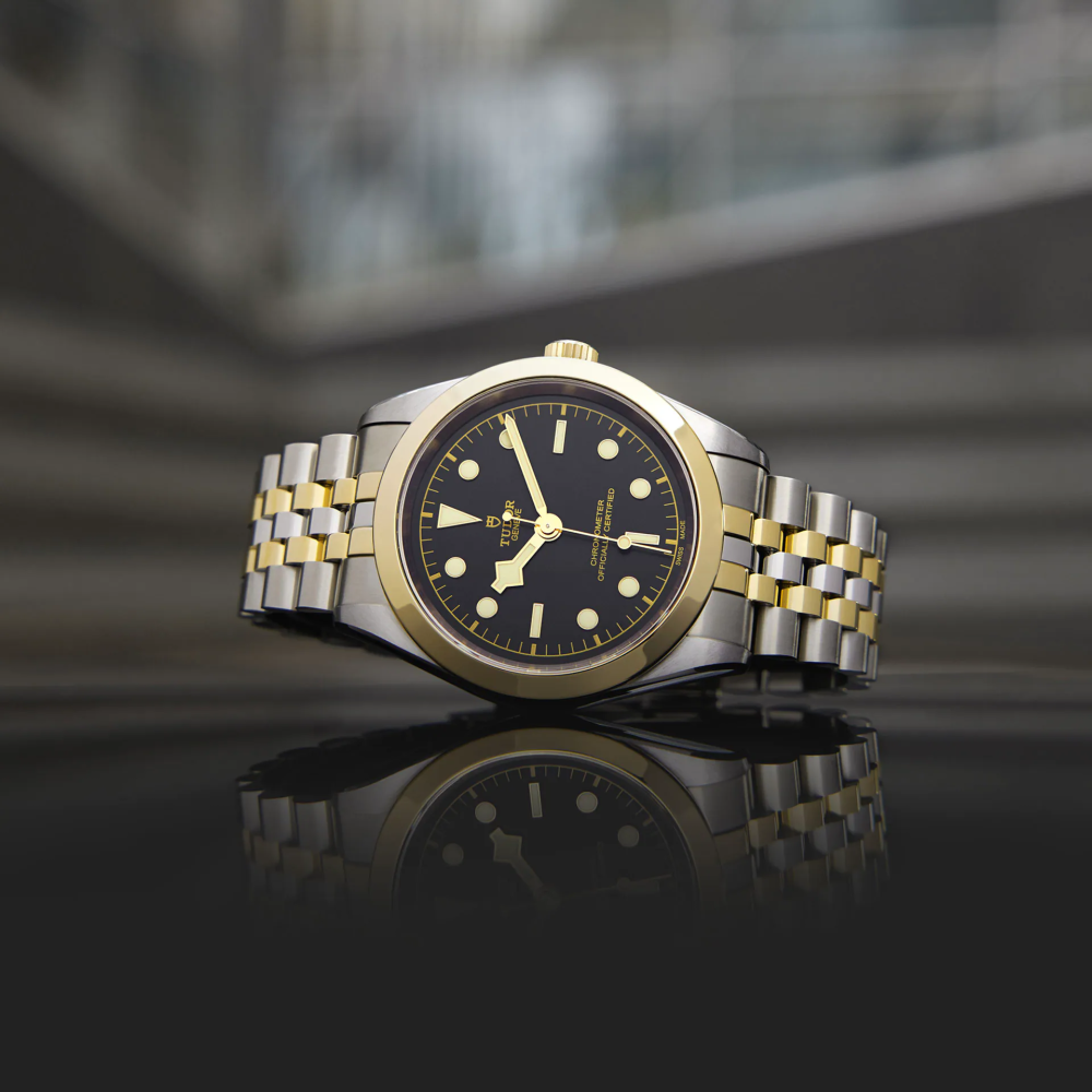 Tudor Black Bay 39 S&G, 316L Stainless Steel and 18k Yellow Gold, Ref# M79663-0001