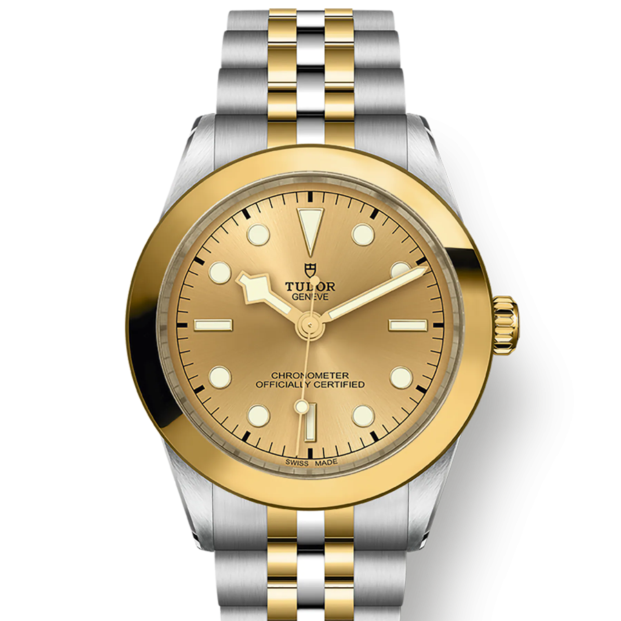 Tudor Black Bay 39 S&G, 316L Stainless Steel and 18k Yellow Gold, Ref# M79663-0005