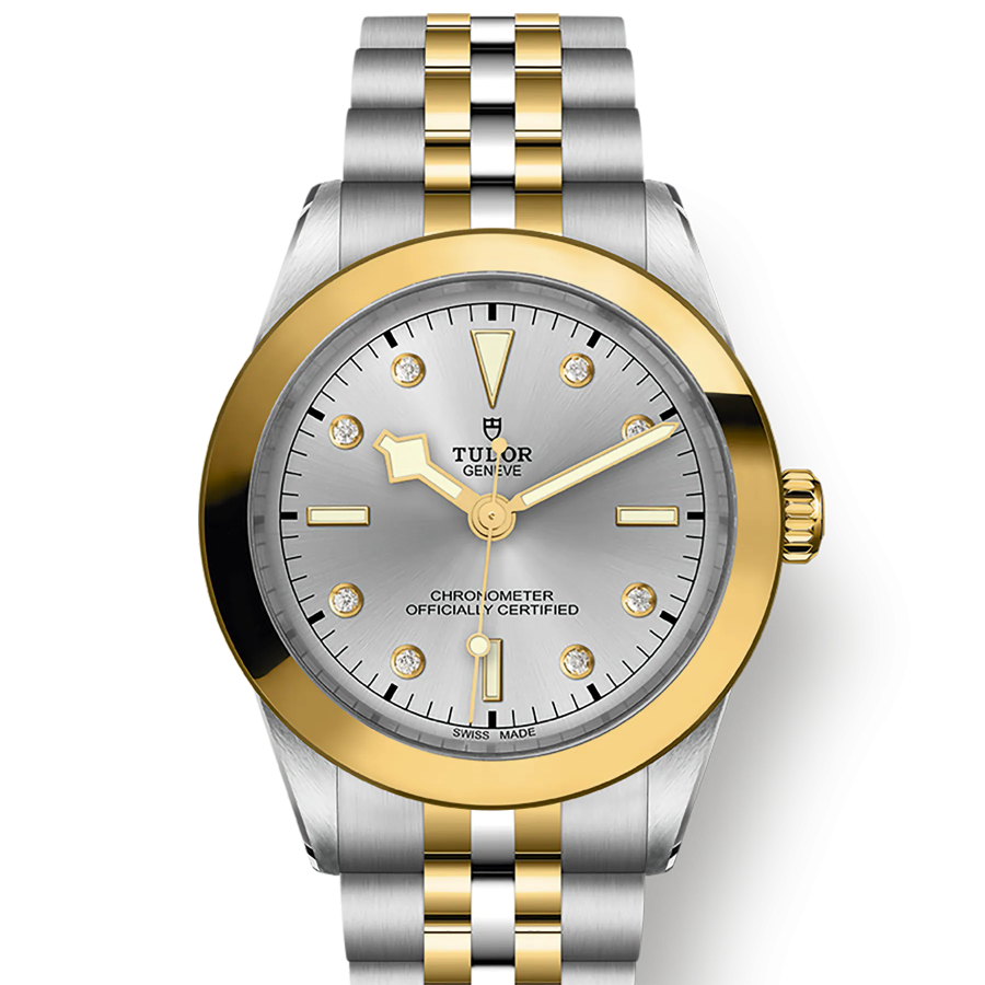 Tudor Black Bay 39 S&G, 316L Stainless Steel and 18k Yellow Gold, Ref# M79663-0007